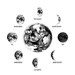 Obraz premium Moon phases illustration