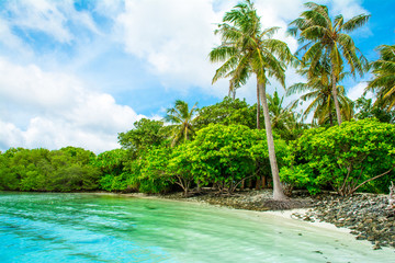 Beautiful sandy beach in uninhabited island