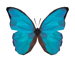 Vector polygonal butterfly isolated on white. Low poly illustration. Triangle color insect image.