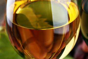 White wine and red wine in a glass with fall grapes on rustic background.