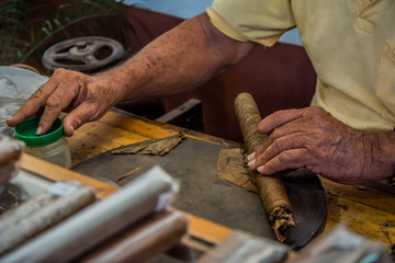 Cigar rolling in Cuba