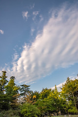 秋の空