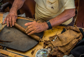 Cigar rolling in Cuba