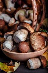 Mushroom over Wooden Background. Autumn Cep Mushrooms on wood. Autumn forest fruit