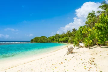 Store enrouleur tamisant Plage tropicale Beautiful sandy beach in uninhabited island