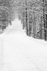 Snowy Road