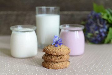 dairy products: yogurt, a glass of milk and oatmeal cookies,
rustic style