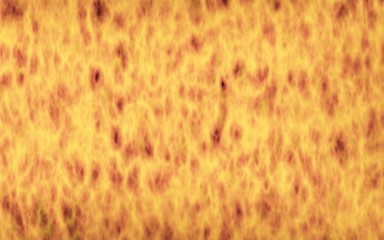 Abstract Fire Background with Flames. Wall of Fire. Glare on the water. 3D illustration