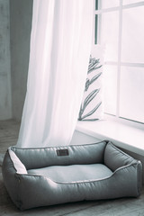  Lounger, Dog,  Interior