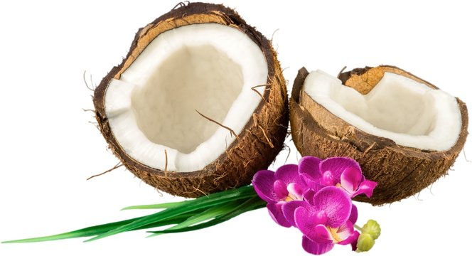 Coconut split open with tropical flowers