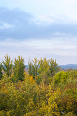 Urban Autumn landscape with trees in sunlight