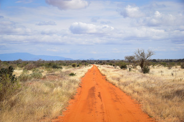 Fototapeta na wymiar Tsavo East Kenya, Baum, National Park, Savanne, Wüste, Weg 