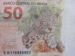 Brazilian money close up. Bills called Real. Economy of Brazil concept image.