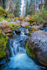 Fototapeta premium waterfall in the forest