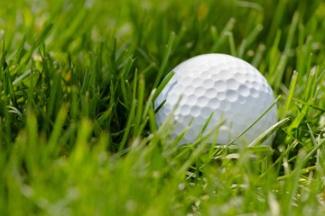 golf ball on a grass