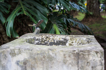 The town's drinking water source