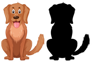 Golden retriever in color and silhouette graphic