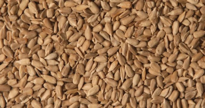 Peeled sunflower seeds close up rotation. Food background. Gastronomy concept, organic food. Macro sunflower seeds
