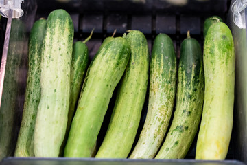 Cucumbers are vegetable that has rich in vitamins, water. They are displaying on stall to sell to somebody, and looks very fresh.
