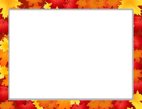 Vector photo frame with fallen autumn maple leaves on white background with copy space