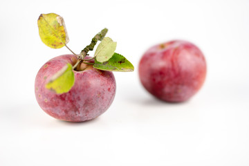 Apple with a piece of twig and leaves. Fruit brought straight from the garden.
