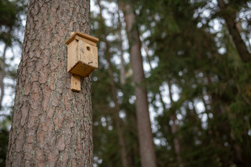 A new bird feeder suspended on a tree. Birdhouse in a nature reserve in Central Europe.
