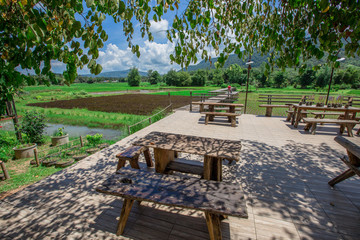 Cafe DE MENA: September 16, 2018, female travelers Traveling in Loei province, stop eating, walk the field on a long wooden bridge, the atmosphere close to nature, Thailand.