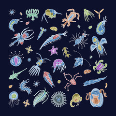 Plankton vector aquatic phytoplankton and planktonic microorganism under microscope illustration set of micro cell organism in microbiology underwater in ocean or sea isolated on background - 224451460
