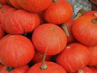 Pumpkin beautiful color combination.in the mountain market in Chiang Mai, Thailand.