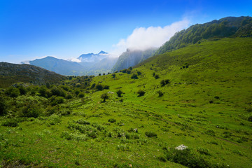 Fototapeta na wymiar Picos de Europa in Asturias of Spain