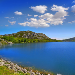 Fototapeta na wymiar Picos de Europa Enol lake in Asturias Spain