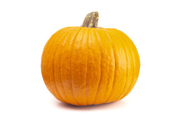 Single Large Orange Pumpkin on a White Background