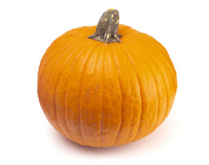 Single Large Orange Pumpkin on a White Background