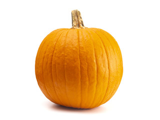 Single Large Orange Pumpkin on a White Background