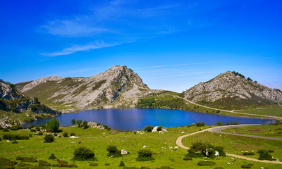 Enol lake at Picos de Europa in Asturias Spain