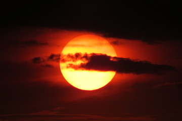Sol de verano