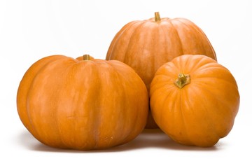 Three Large Pumpkin