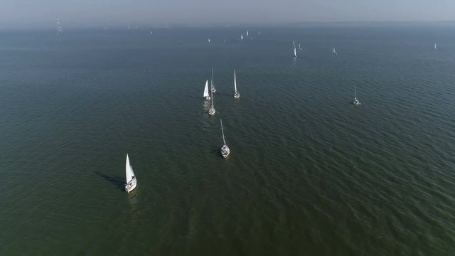 Aerial top view of a sailing yacht regatta. Flying over boats. 4k video 