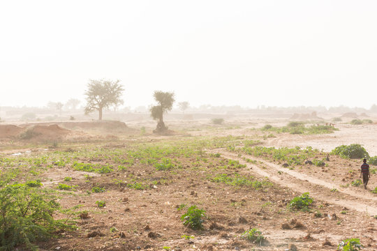 A Typical, Hazy, Sahel Scene