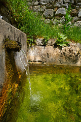 Natural spring fountain in Picos de Europa Asturias