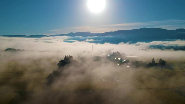 朝もや」の写真素材 | 4,037件の無料イラスト画像 | Adobe Stock
