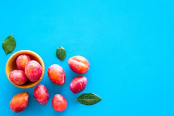 Summer harvest of red plum.  Red plum and leaves pattern on blue background top view space for text