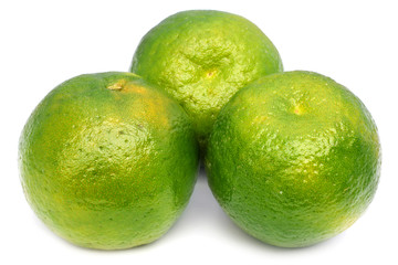 Green orange fruits