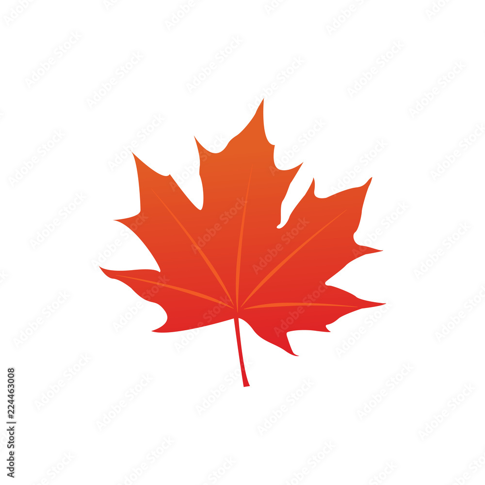 Wall mural maple leaf logo icon design template vector