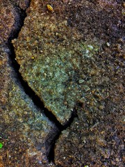 Ground surface texture