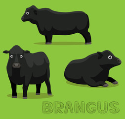 Cow Brangus Cartoon Vector Illustration