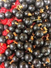 Garden berries background