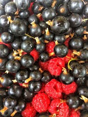 Garden berries background