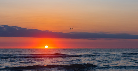 Obraz premium Amazing beautiful sunrise at the sea