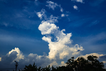 Obraz premium 犬のようにみえるタイの入道雲